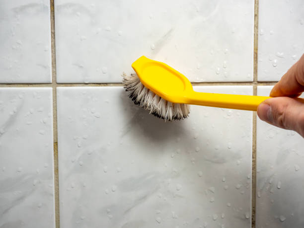 Certified Mold Removal in Timmonsville, SC
