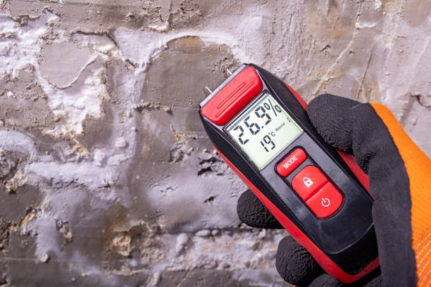 Best Certified Mold Removal  in Timmonsville, SC