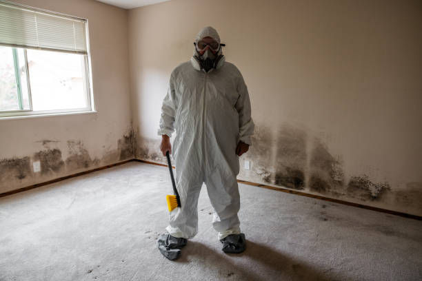 Crawl Space Mold Removal in Timmonsville, SC